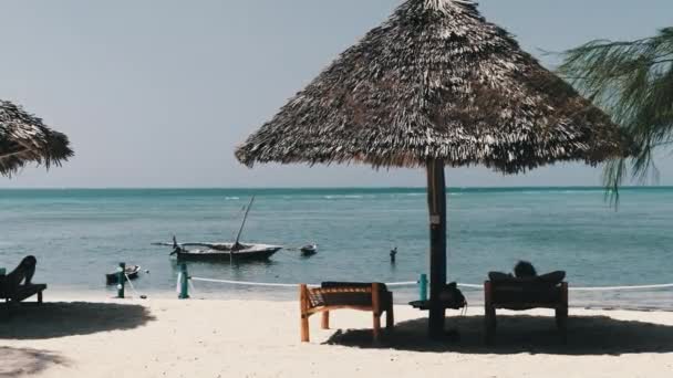Θάβονται ομπρέλες και ξαπλώστρες με τον άνθρωπο στην αμμώδη παραλία από τον ωκεανό, Ζανζιβάρη — Αρχείο Βίντεο
