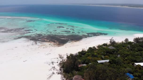 Paradise Private Island of Mnemba in Turquoise Ocean, Zanzibar, Widok z powietrza — Wideo stockowe