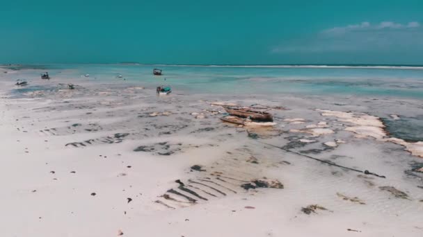 Oceano na maré baixa, vista aérea, Zanzibar, barcos presos na areia nas águas rasas — Vídeo de Stock