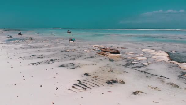 低潮时的海洋、空中景观、桑给巴尔、浅滩沙中的船只 — 图库视频影像