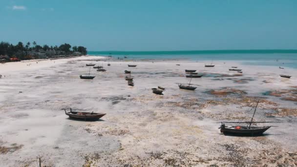 Muchos barcos de pesca atrapados en la arena frente a la costa en la marea baja, Zanzíbar, Vista aérea — Vídeos de Stock