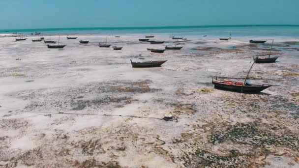 Un sacco di barche da pesca bloccato in sabbia al largo della costa a bassa marea, Zanzibar, Vista aerea — Video Stock