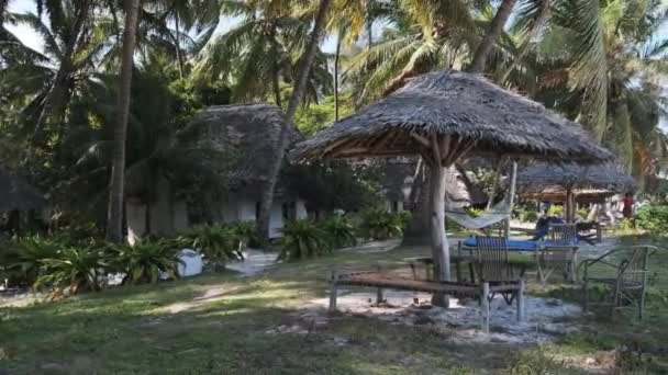 Tropical Beach Hotel with Thatched Roofs in Palm Groves by Ocean, Zanzibar, Paje — Stock Video