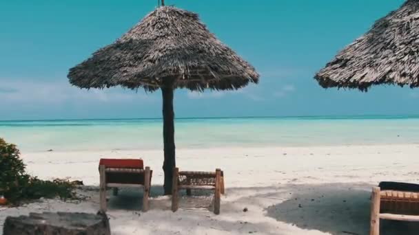 Tropische Liegestühle unter Strohschirmen am Sandy Beach by Ocean, Sansibar — Stockvideo