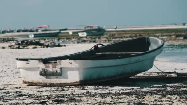 Spousta afrických rybářských lodí uvízlých v písku u pobřeží při odlivu, Zanzibar — Stock video