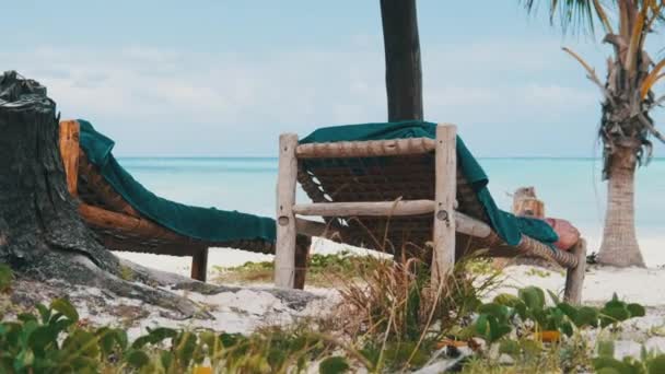 Parapluies à toit de chaume et chaises longues sur la plage de sable tropical près de l'océan, Zanzibar — Video