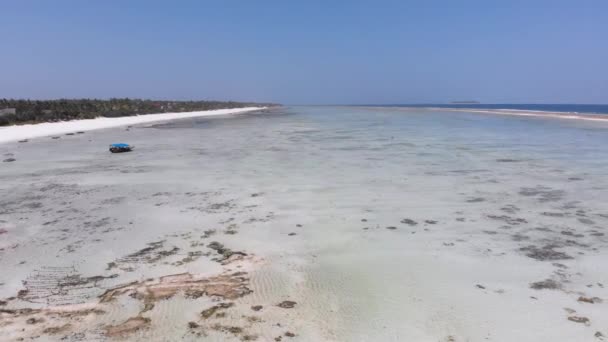 Ocean na odpływie, Widok z powietrza, Zanzibar, Płycizna rafy koralowej, Plaża Matemwe — Wideo stockowe