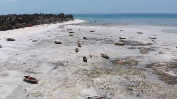 Many Fishing Boats Stuck in Sand off Coast at Low Tide, Zanzibar, Aerial View — стокове відео