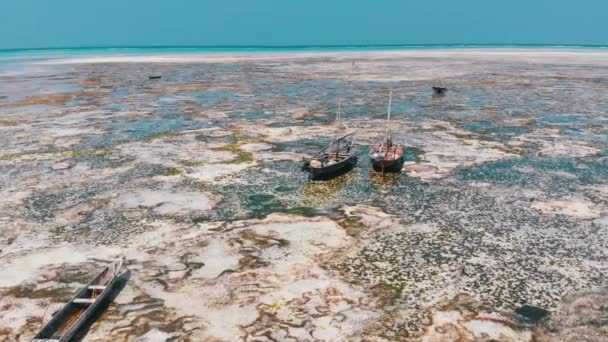 Spousta rybářských lodí uvízlých v písku u pobřeží při odlivu, Zanzibar, letecký pohled — Stock video