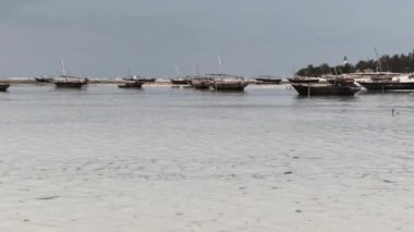 Bir sürü Afrika Tahta Balıkçı Teknesi Sahilde, Dalgalarda, Zanzibar 'da mahsur kaldı.