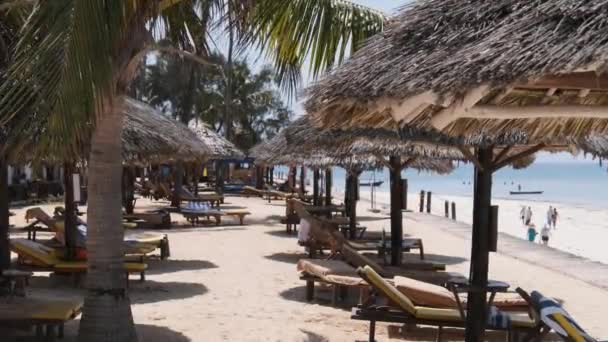 Thatched ομπρέλες και ξαπλώστρες στην αμμώδη παραλία κοντά στο ξενοδοχείο Ocean, Zanzibar — Αρχείο Βίντεο