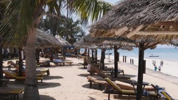 Paraguas de paja y tumbonas en Sandy Beach cerca de Hotel by Ocean, Zanzíbar — Vídeos de Stock