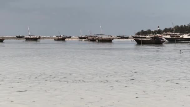 Sok fából készült afrikai halászhajó rekedt homokban a parton, apály, Zanzibár — Stock videók