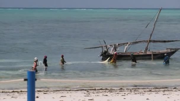 Balık Avlayan Afrikalı Kadınlar, Okyanusta Balıkçılık Ağı, Zanzibar — Stok video