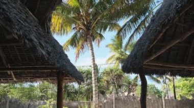 Thatched Roof Bungalovları ve Palm Trees, Zanzibar 'ı olan tropikal Afrika Oteli