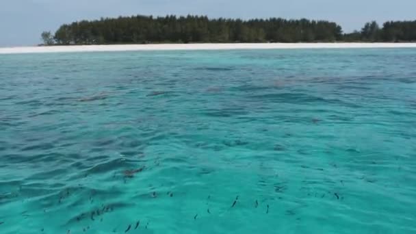 Superficie de agua turquesa con el agua más pura en el océano azul, Zanzíbar, Mnemba — Vídeos de Stock