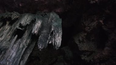 Yeraltı Mağarası ve Kuza Mağarası Tavanından sarkan Stalactite Kaya oluşumları