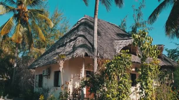 Trópusi Afrikai Hotel Thatched Tetőtéri bungalókkal és pálmafákkal, Zanzibár — Stock videók
