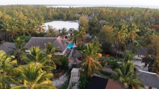 Aerial view African Tropical Beach Resort, Thatched-Roof Hotels, Pools, Zanzibar — Stock Video
