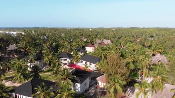 Paradise Coast Resort with Palm Trees and Hotels by Ocean, Zanzibar, Widok z lotu ptaka — Wideo stockowe