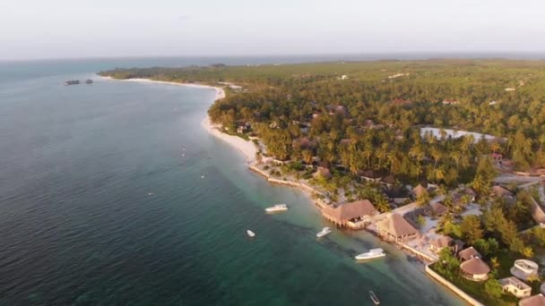 Aerial View Tropical Coastline, Εξωτικά Ξενοδοχεία και Φοίνικες από Ωκεανό, Ζανζιβάρη — Αρχείο Βίντεο