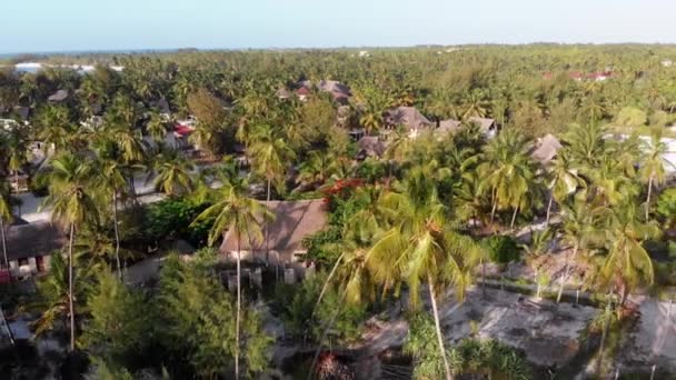 Flygfoto African Tropical Beach Resort, Thatched-Roof Hotell, Pools, Zanzibar — Stockvideo