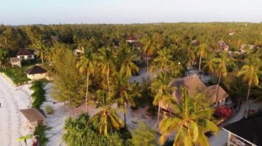 Paradise Coast Resort with Palm Trees and Hotels by Ocean, Zanzibar, Aerial view