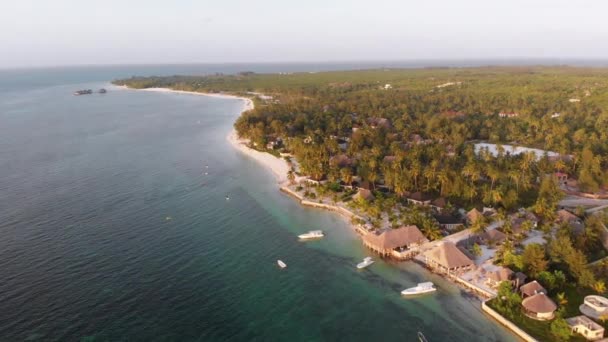 Widok z lotu ptaka Tropikalna linia brzegowa, egzotyczne hotele i palmy nad oceanem, Zanzibar — Wideo stockowe