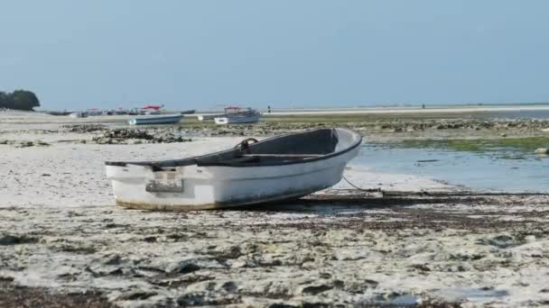 Muchos barcos de pesca africanos varados en la arena frente a la costa en la marea baja, Zanzíbar — Vídeo de stock