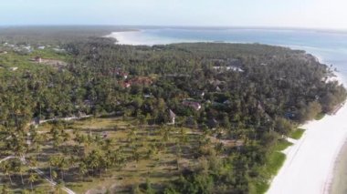 Aerial View Tropical Coastline, Exotic Hotels and Palm Trees by Ocean, Zanzibar