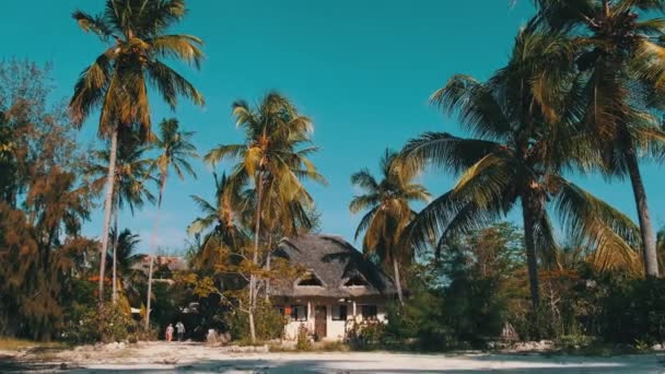 Tropikalny afrykański hotel z Thatched Dach Bungalowy i Palmy, Zanzibar — Wideo stockowe