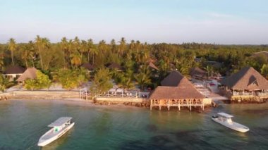 Paradise Beach Resort with Palm Trees and Hotels by Ocean, Zanzibar, Aerial view