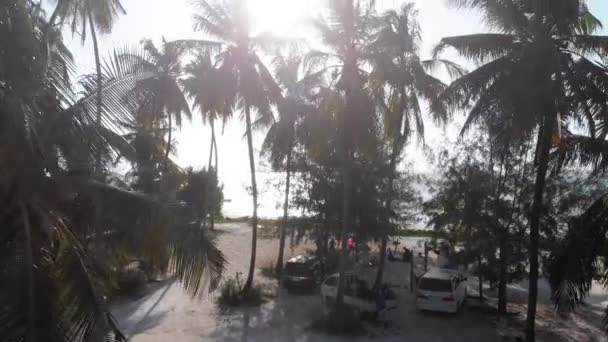 Paradise Coast Resort with Palm Trees and Hotels by Ocean, Zanzibar, Widok z lotu ptaka — Wideo stockowe