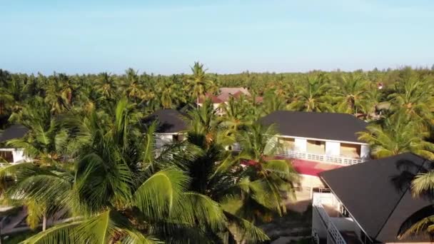 Paradise Coast Resort com Palmeiras e Hotéis by Ocean, Zanzibar, Vista Aérea — Vídeo de Stock