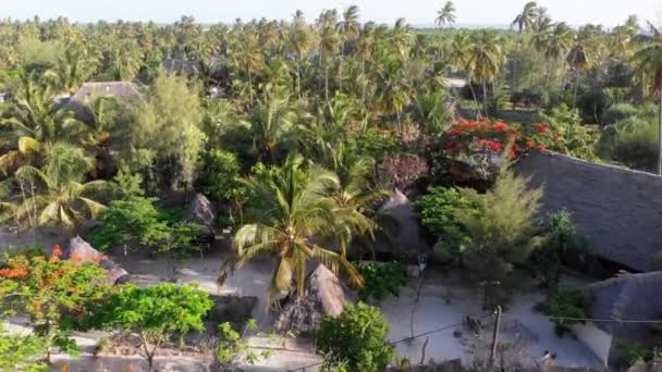 Widok z lotu ptaka African Tropical Beach Resort, Thatched-Roof Hotele, Baseny, Zanzibar — Wideo stockowe