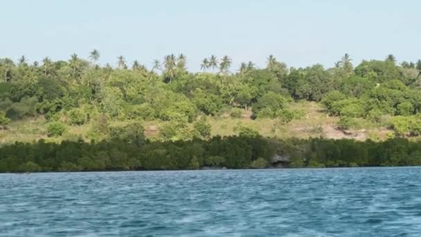 Vista de la costa virgen de Zanzíbar con bosque, palmeras, arrecifes de coral y océano — Vídeos de Stock