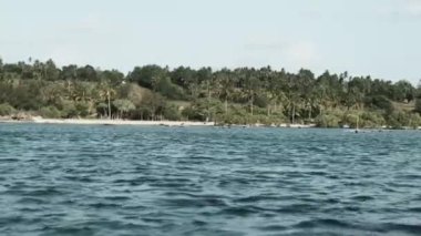 Orman, Palmiye, Resifler, Tekneler ve Okyanusla Bozulmamış Zanzibar Sahili