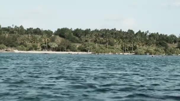 Widok dziewiczego wybrzeża Zanzibaru z lasem, palmami, rafami, łodziami i oceanem — Wideo stockowe