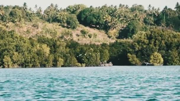 Незіпсоване узбережжя Занзібару з зграєю птахів, лісів, пальм, рифів і океану — стокове відео