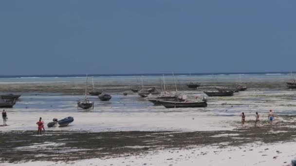 Lote de madera africana barco de pesca varado en arena en la playa, marea baja, Zanzíbar — Vídeo de stock
