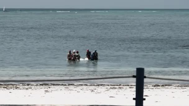 Skupina africké ženy chytání ryb, mořské plody pomocí rybářské sítě v oceánu, Zanzibar — Stock video