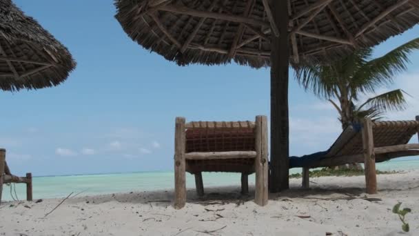 Parapluies à toit de chaume et chaises longues sur la plage de sable tropical près de l'océan, Zanzibar — Video