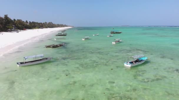 Σκάφη είναι αγκυροβολημένα στα ανοικτά της ακτής Shallow, Ωκεανός σε χαμηλή παλίρροια, Aerial, Zanzibar — Αρχείο Βίντεο