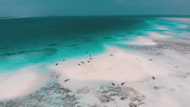 Sandbanks in the Middle of Ocean by Tropical Island Mnemba, Zanzibar Aerial View — Stock video