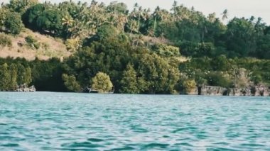 Kuş sürüsü, orman, palmiye, resif ve okyanus ile bozulmamış Zanzibar Sahili