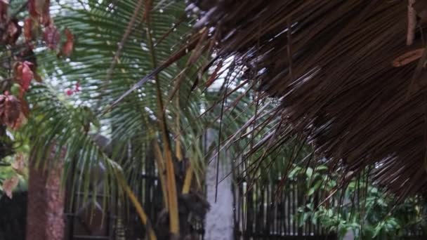 Tropischer Regen in Afrika, Wassertropfen von strohgedeckten Dächern von Bungalows — Stockvideo