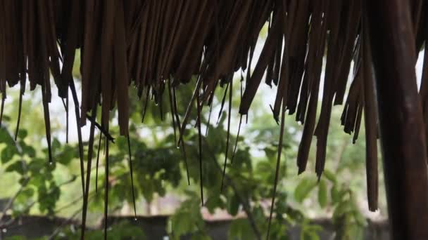 Lluvia tropical en África, gotas de goteo de agua de techos de paja de bungalows — Vídeos de Stock