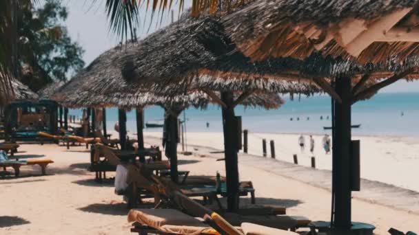 Thatched Umbrellas and Sun Loungers on Sandy Beach near Hotel by Ocean, Zanzibar — Stock Video