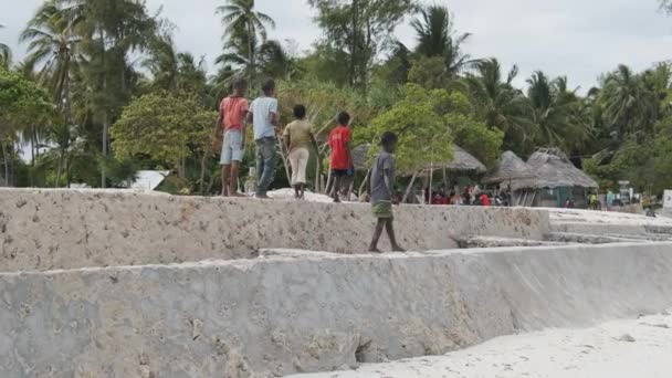 Wypoczynek afrykańskich dzieci na plaży tropikalnej, wielu lokalnych chłopców spaceruje wzdłuż wybrzeża — Wideo stockowe