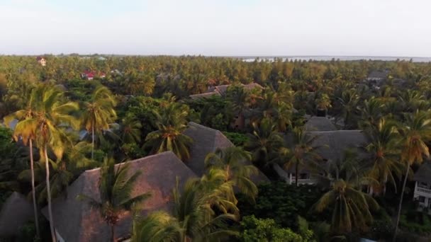 Widok z lotu ptaka African Tropical Beach Resort, Thatched-Roof Hotele, Baseny, Zanzibar — Wideo stockowe